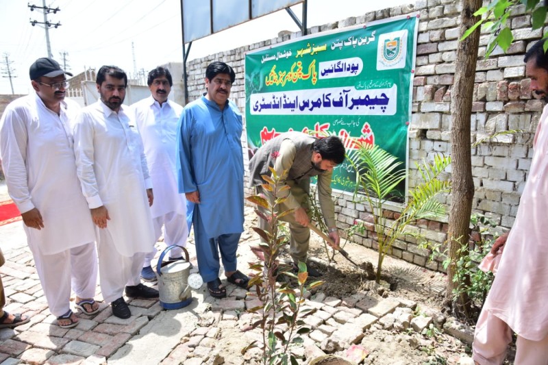 The President Of The Pakpattan Chamber Of Commerce & Industry, Dewan Azmat Mehmood Chishti, Is Leading The Responsibility Of Promoting Environmental Sustainability Through The Tree Plantation Campaign, Encouraging Community Members To Join Hands In Making A Positive Impact.